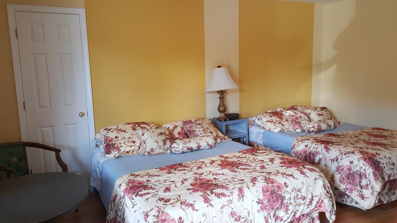 Alpine Motel In Heart Of Wisconsin Dells Downtown. Экстерьер фото