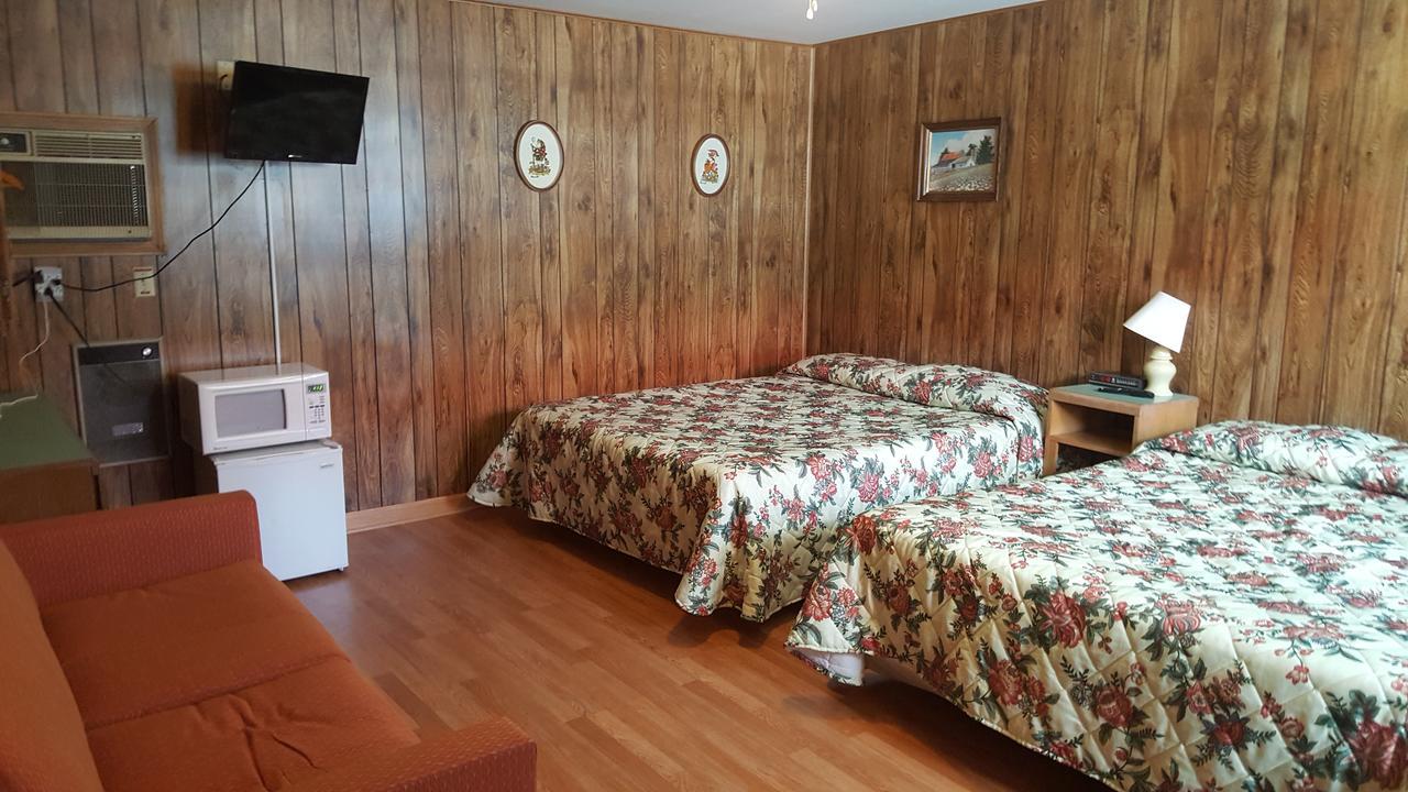 Alpine Motel In Heart Of Wisconsin Dells Downtown. Экстерьер фото