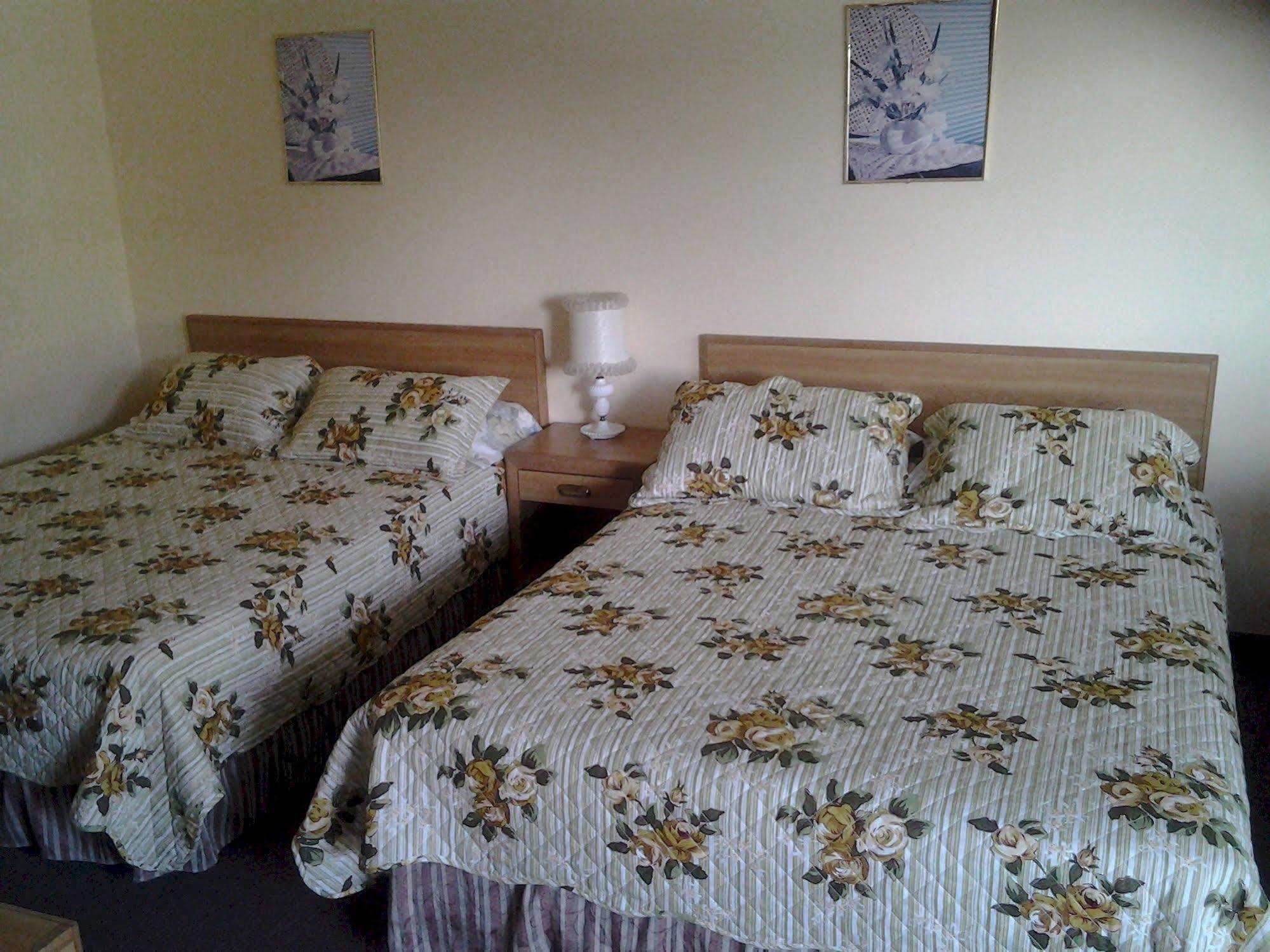 Alpine Motel In Heart Of Wisconsin Dells Downtown. Экстерьер фото
